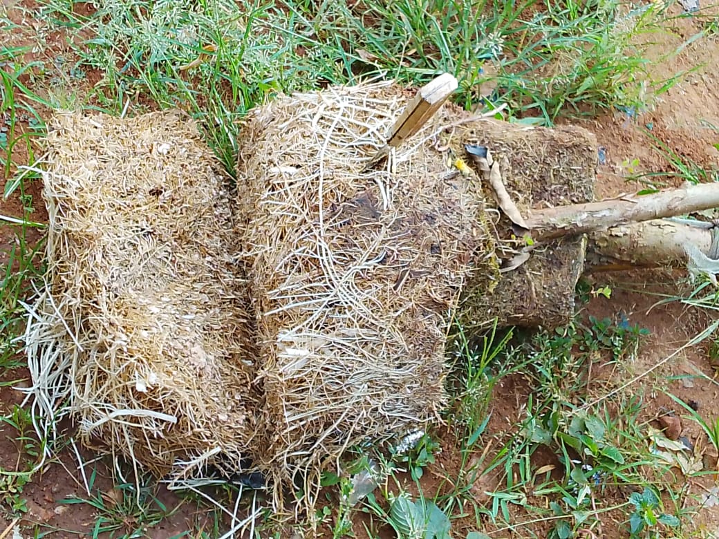 Root wool blocks produced from local raw materials